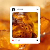 Stick NOMADE Sultane de Damas (Oud Rosé)