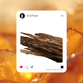 Stick NOMADE Sultane de Damas (Oud Rosé)