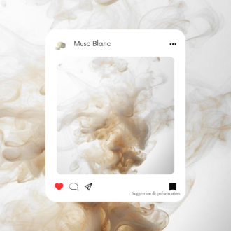 Stick NOMADE Souffle de Pureté (Musc Blanc)